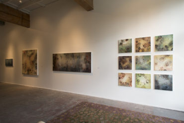 Installation of Hyphae exhibition, Butters Gallery, November 2016